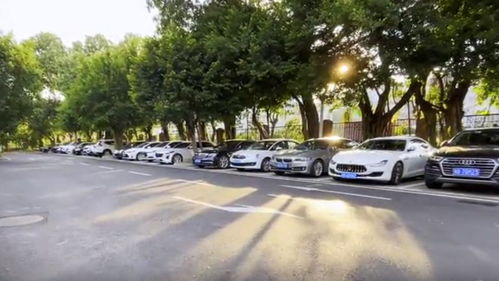 深圳開啟“柜臺(tái)辦”便捷服務(wù)新時(shí)代